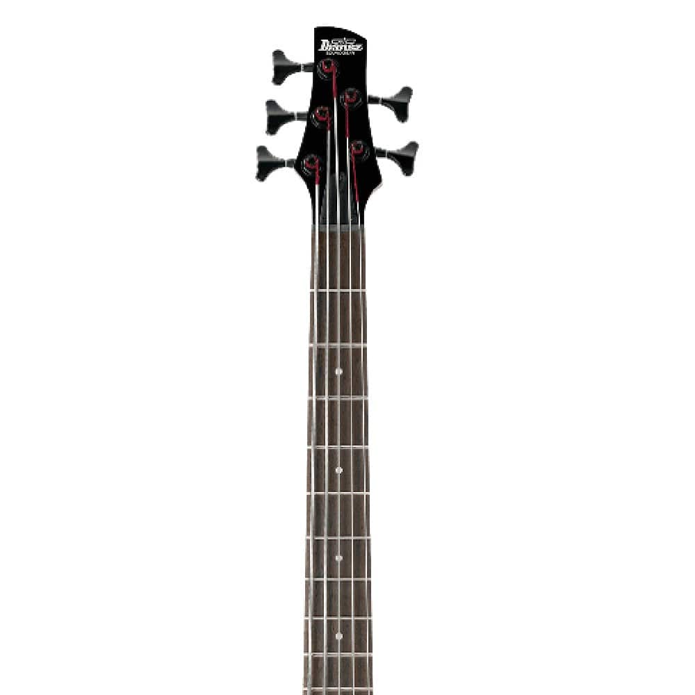 Ibanez GSR205B-WNF SR Gio Series 5-String Bass Guitar - Open Box