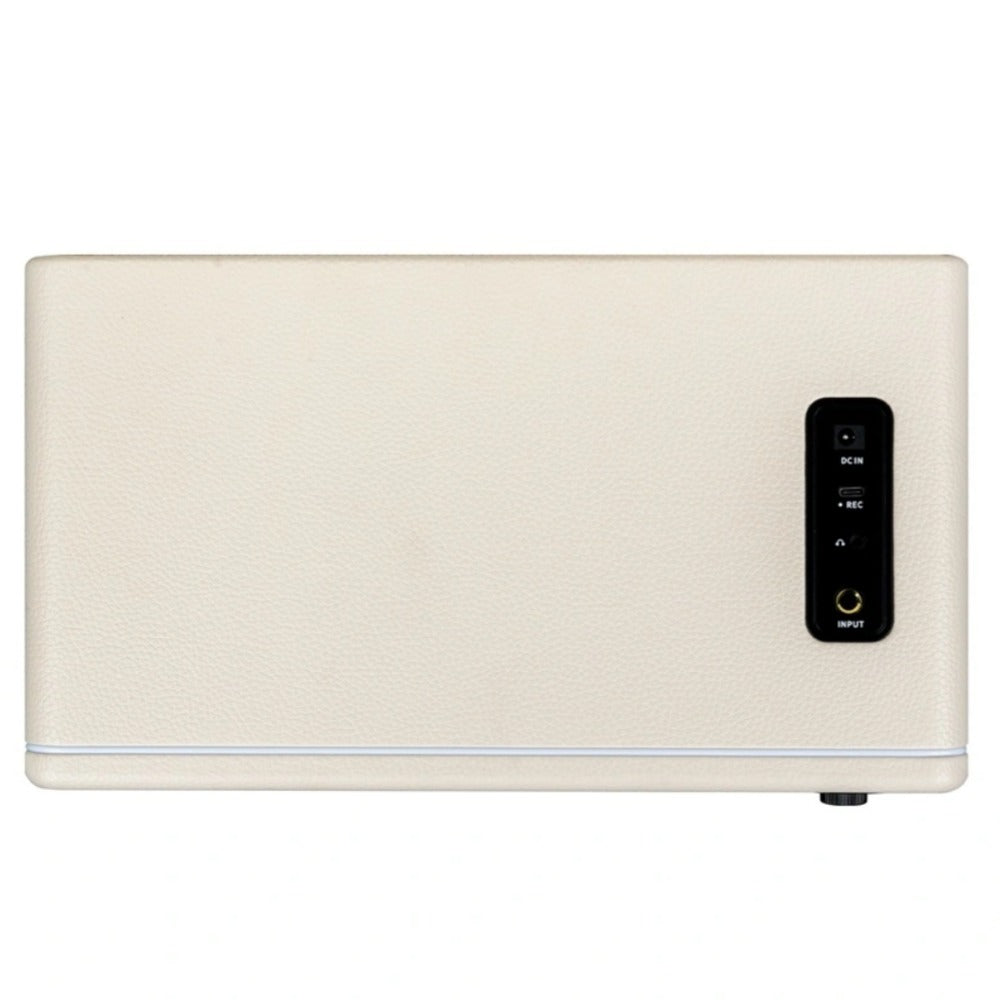 Mooer Hornet 30i Intelligent Amplifier