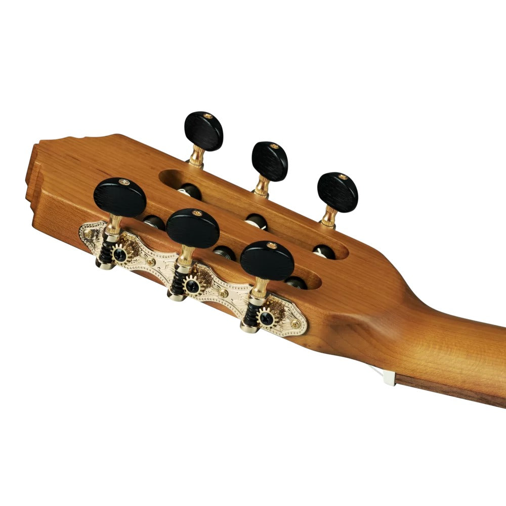 Ortega R23RO Thermo Series Acoustic Guitar with Bag