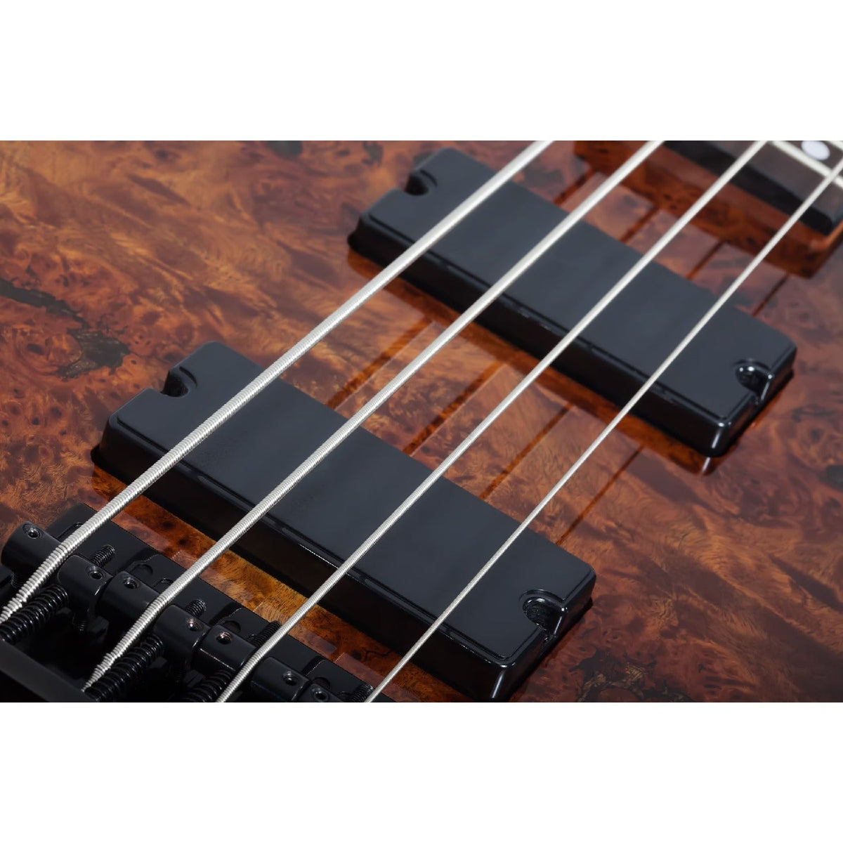 Schecter C-4 Standard 4 String Bass Guitar