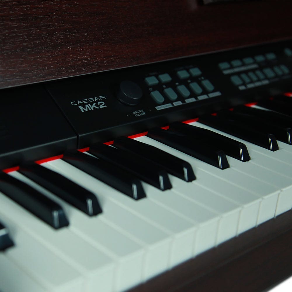 Vault Caesar MK2 88 Key Digital Piano - Open Box