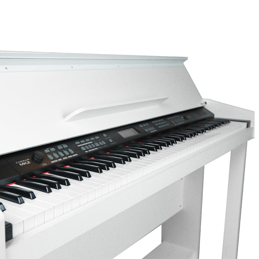 Vault Caesar MK2 88 Key Digital Piano - Open Box